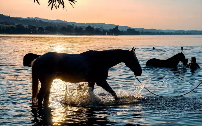 房产新政后离婚率升高 反思结婚意义是什么