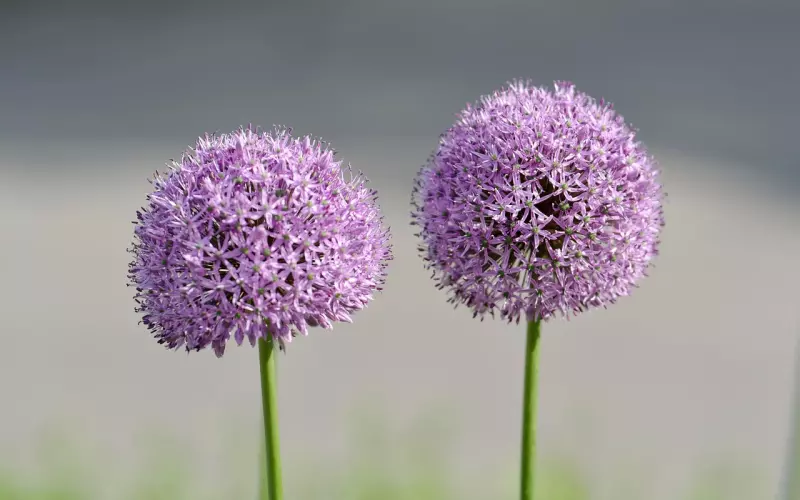 属龙裸睡，属羊闷骚…你是什么属相？快看看，真准！