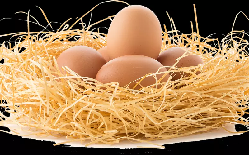 重灌爱情的驱动程式