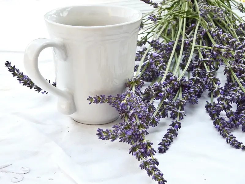 元素聊天法，教你一步步撕裂女人的心防！