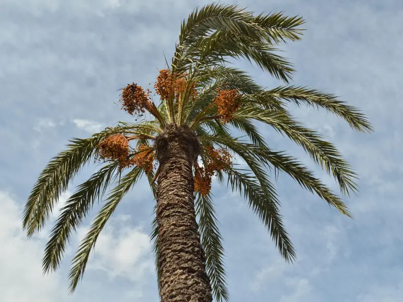 朋友圈很走心的情感句子，句句扎心，句句入骨！