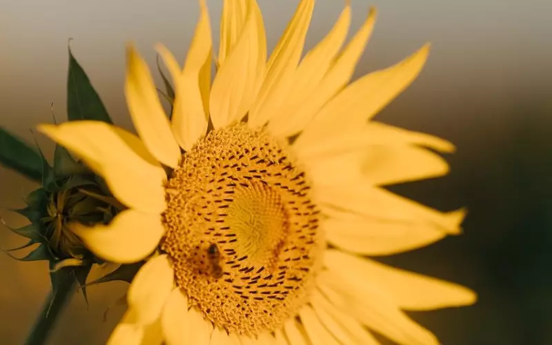 前任的成长环境，决定了你挽回的方式