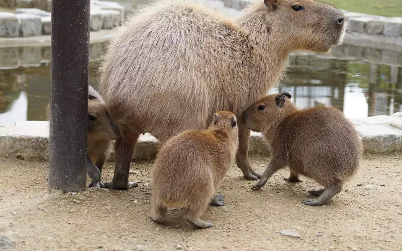 一次成功挽回老婆的经历，让我收获的不止是幸福