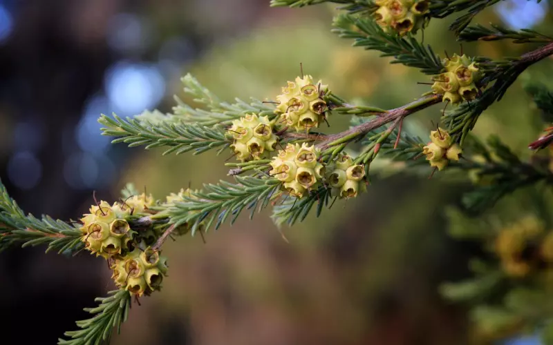 宇芽遭家暴视频曝光引众怒：遇到第2种男人，哪怕他再好，一定要抓紧时间远离！