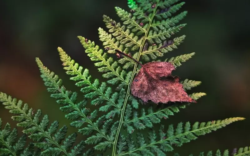微信上精致霸气走心的经典句子，很适合发朋友圈！