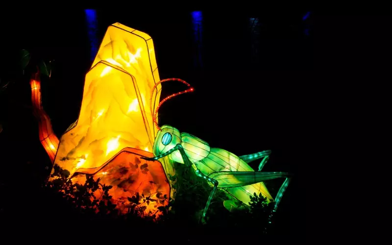 正月十五，元宵佳节，月圆人安！