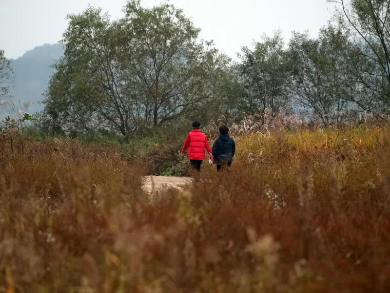 养儿子养女儿的最终结局，好痛好痛的领悟！！ ！