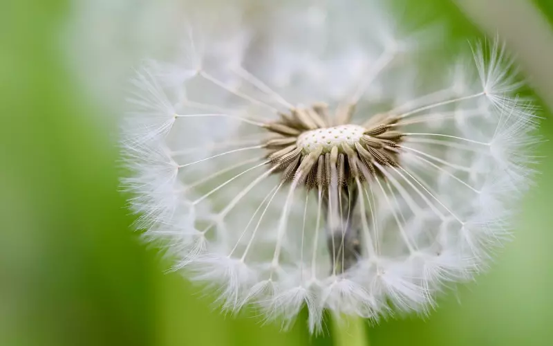 第一批情感导师种子诞生了