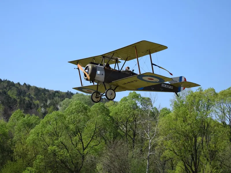 复合后的第一次约会：做到这3点，才能真正的破镜重圆