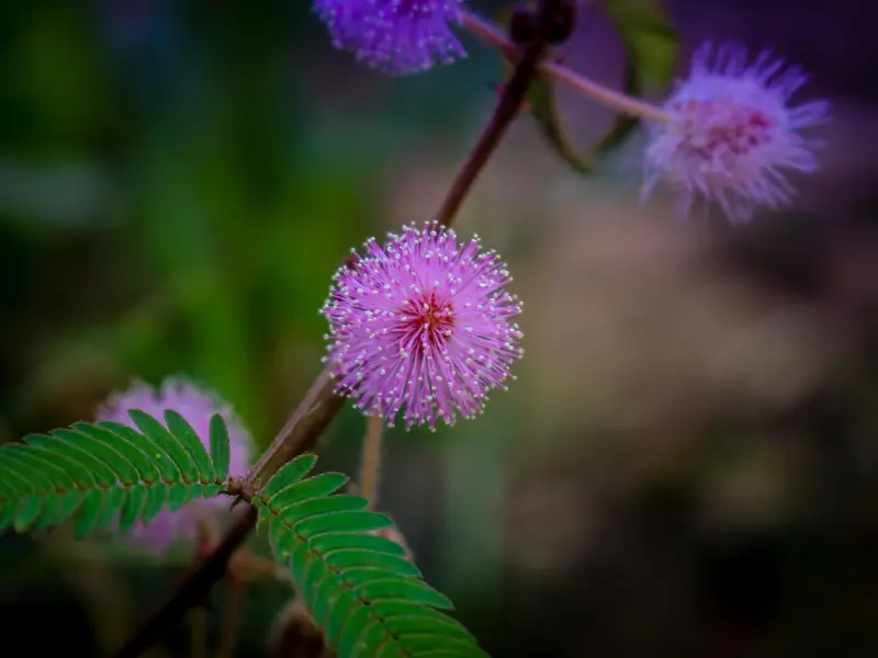第一期【挽回心态教导】是不是快要分手了