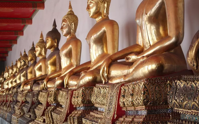 属鸡的人2020年运势及适合佩戴的泰国佛牌