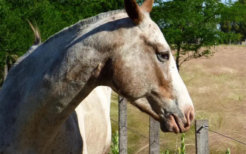 我走过的四条挽回爱情的死路，不要重蹈覆辙