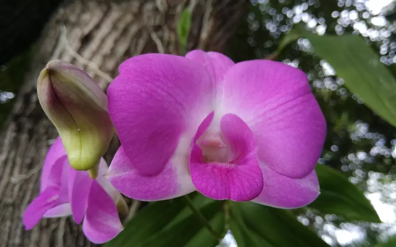 挽回男友最关键的四个要点