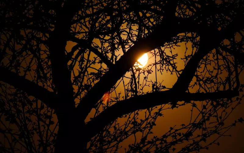 交往两月的女生突然冷淡，问题居然出在这