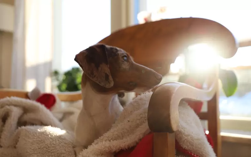 挽回爱情宝典：挽回男友最有力度的套路,必须要看看!