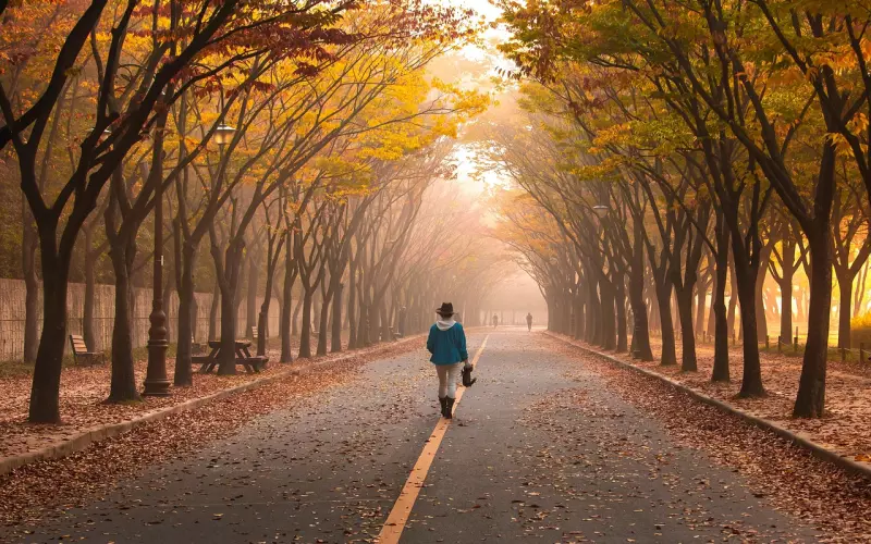 最难走的路，是心路！