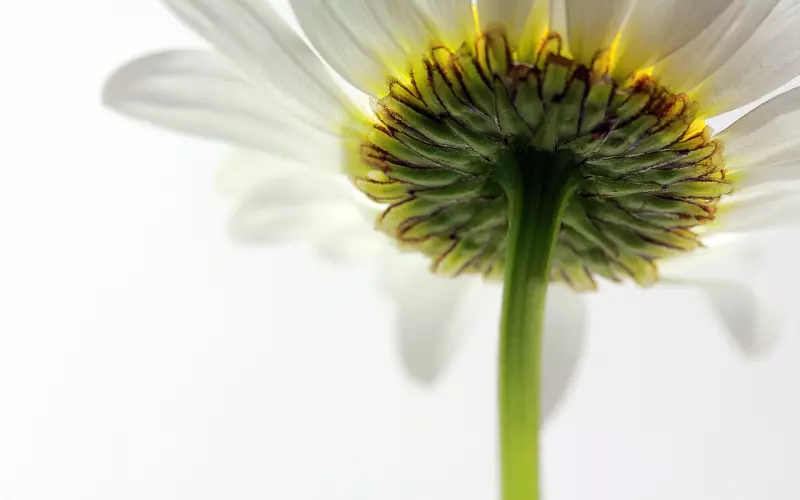 挽回之中感情的高位和低位