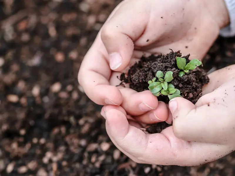 挽回的最高境界，让前任再一次说我爱你