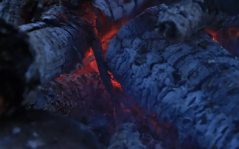 最热情感咨询话题：发现老公嫖娼，我该怎么办？