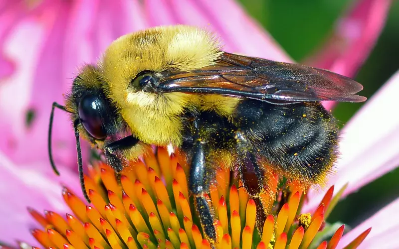 女人爱的卑微的表现 如何拯救卑微的爱情