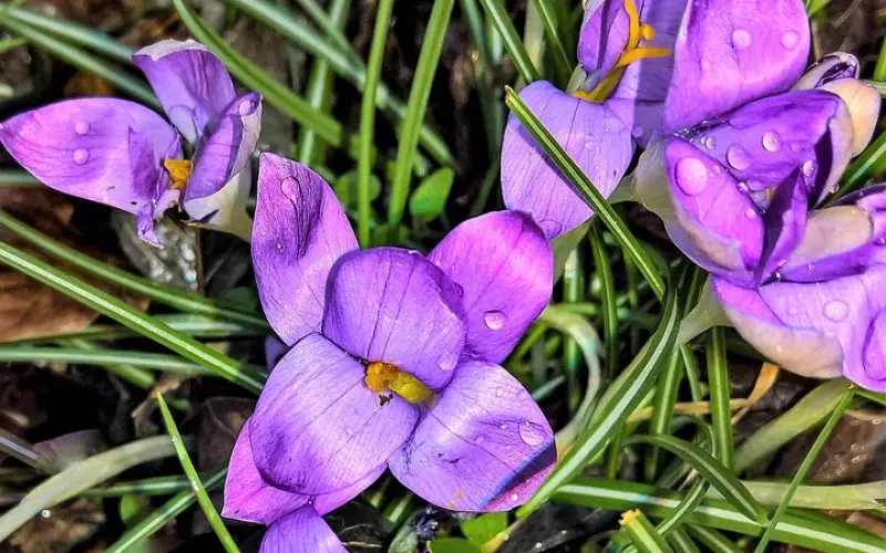 夫妻之间把这4件事做尽了，早散早解脱，别再互相折磨了