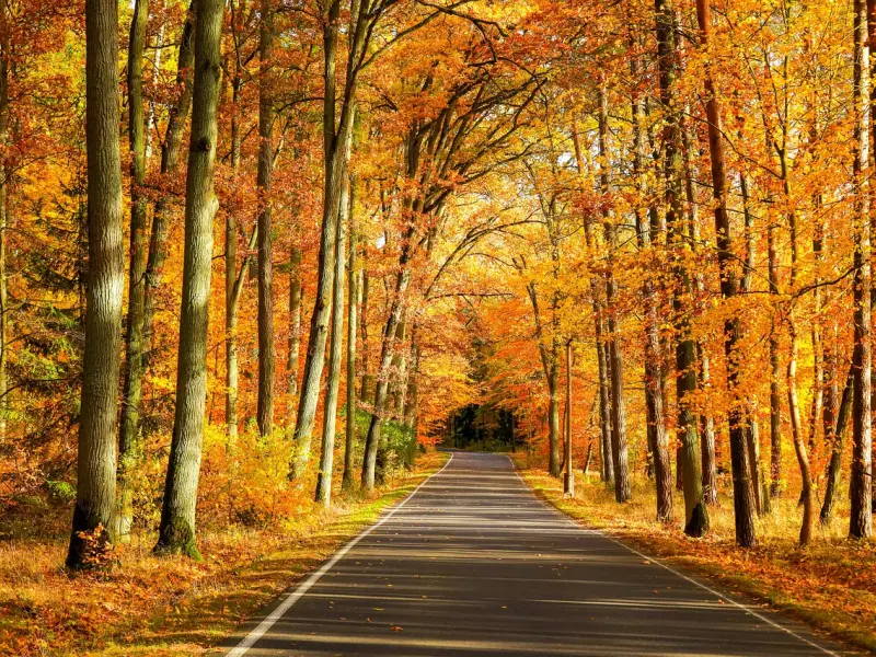 父母对感情的影响，比很多人想象的大得多