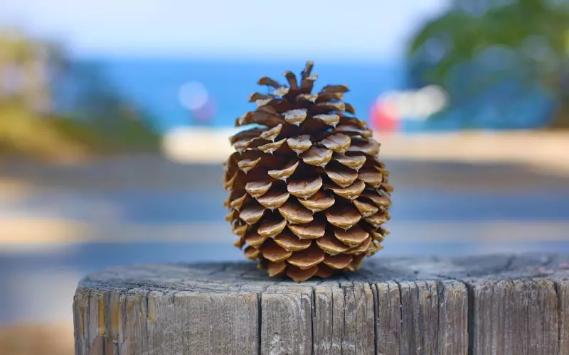 两性关系顺口溜，简直太有才了，精彩！