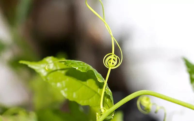 挽回初恋男友的关键所在