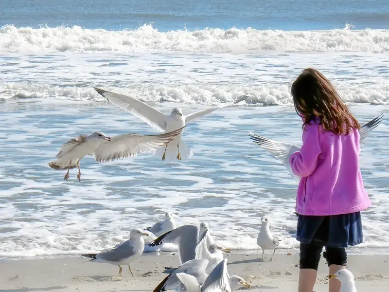 “离婚前最后一站”——挽回婚姻感情夫妻问题，挽回分手恋爱失恋咨询，婆媳关系在线专家一对一咨询优惠中！