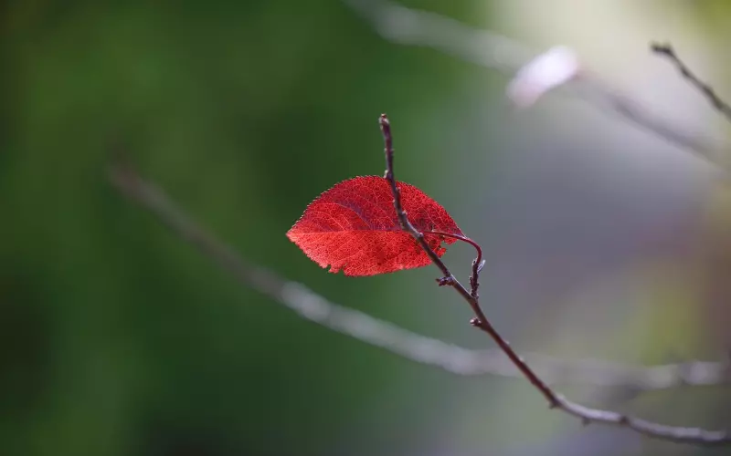 夫妻生活最需要的3个动作，最后一个更简单有效，你有做吗？
