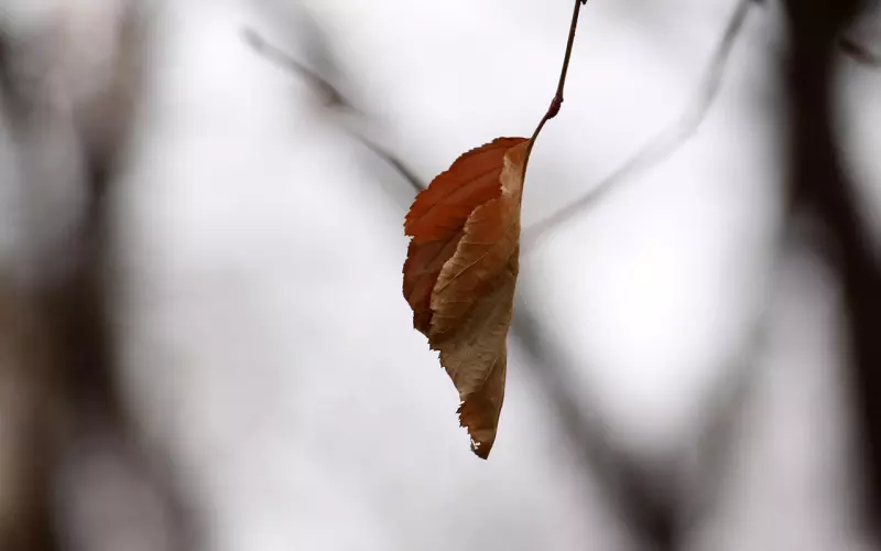 最后一次分手他坚决表示不再和好，该怎么办？