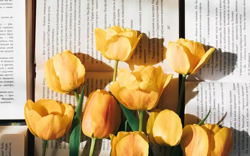 2019最新唯美到心碎的句子，流着眼泪读完！