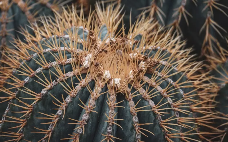 最新个性签名，很短很刺心！
