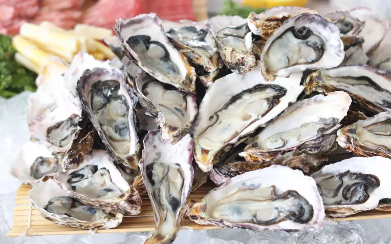 ?最新娶老婆价格表，所有人惊呆了！太现实了！！