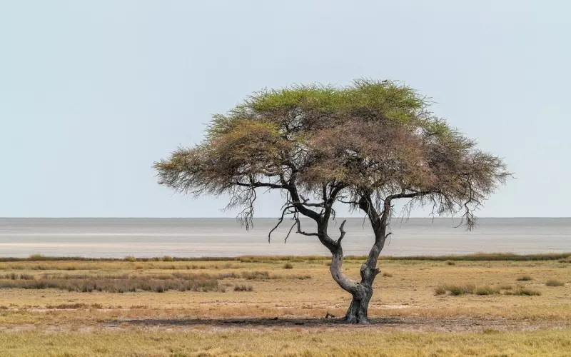 2019最新伤感个性说说，简短走心，哪一句话是你的心情？