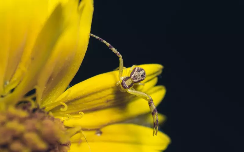 挽回死心的男友之挽回巨蟹座的最新技巧