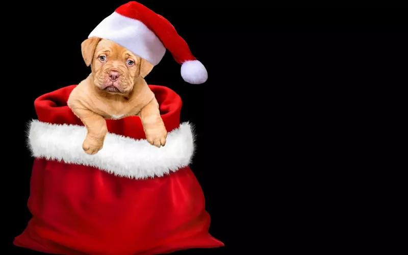 微信群最新版早上漂亮表情问候祝福图片，早上好微信温馨祝福图片问候语