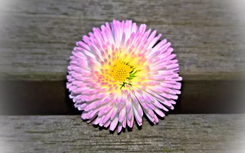 爱的层次，决定了你挽回的难易程度