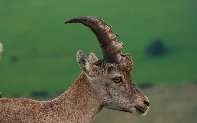 孩子眼中的爱，看完心里暖暖的