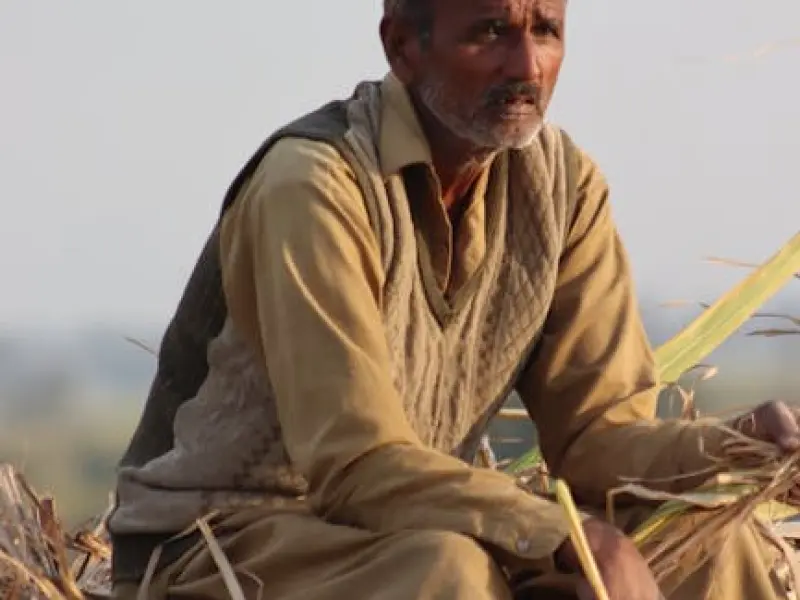 十二星座之爱情里总能带来甜蜜幸福，相伴一生的三大星座