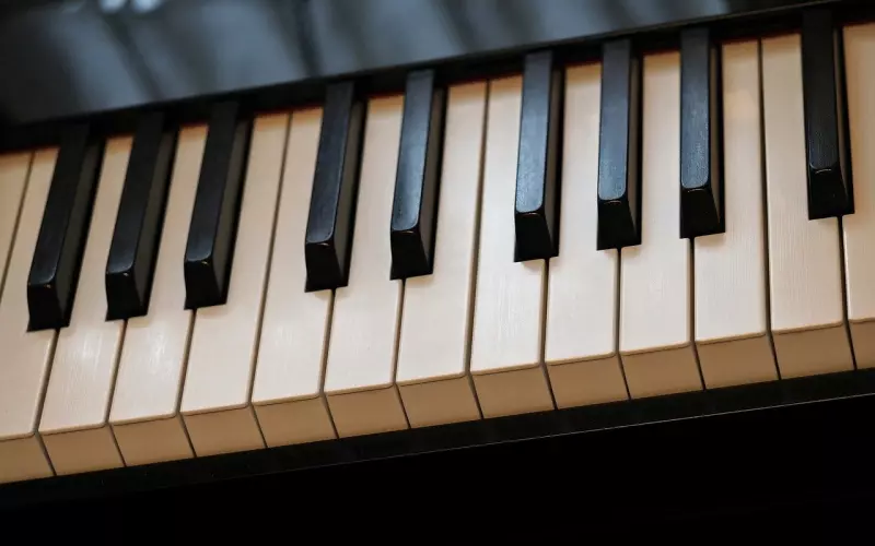 爱情三角理论，教你有针对性的挽回!