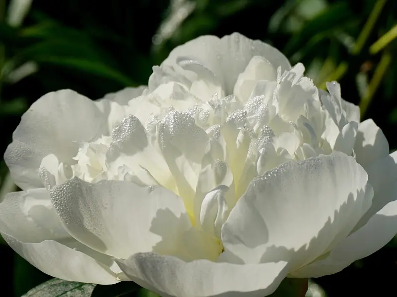 婚姻已经彻底破裂，挽回的几率还剩下多少？