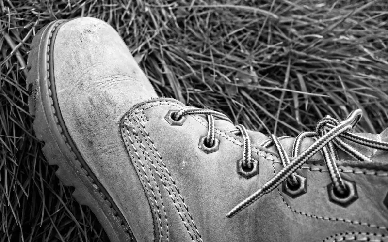 感情挽回之小三毁灭法，男女通用版