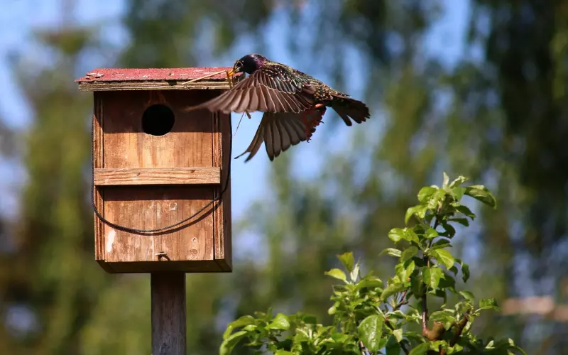 你不得不知的挽回爱情的方法：朋友圈建设的妙用