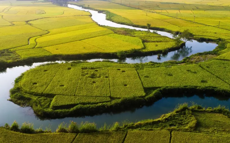 奶茶妹妹遇上刘强东，不般配的是外形，般配的是爱情
