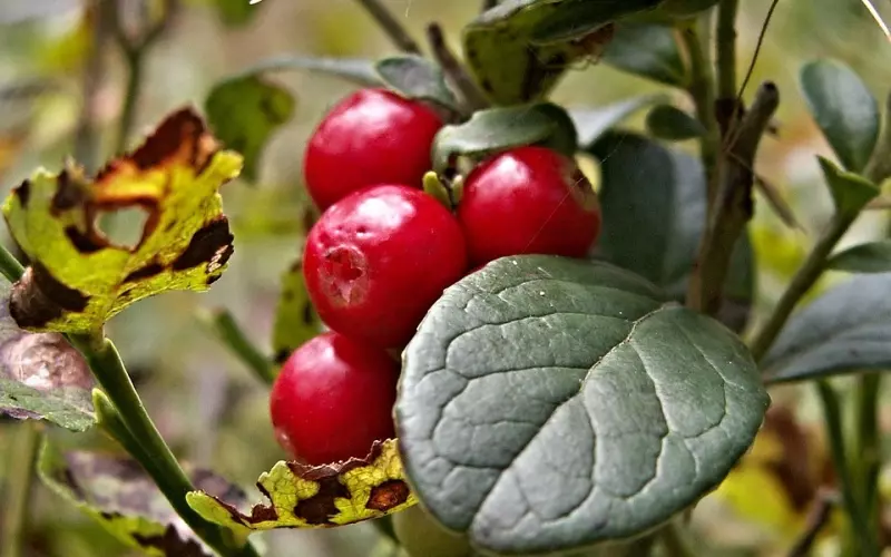 一个家包容越多，越兴旺（精辟）