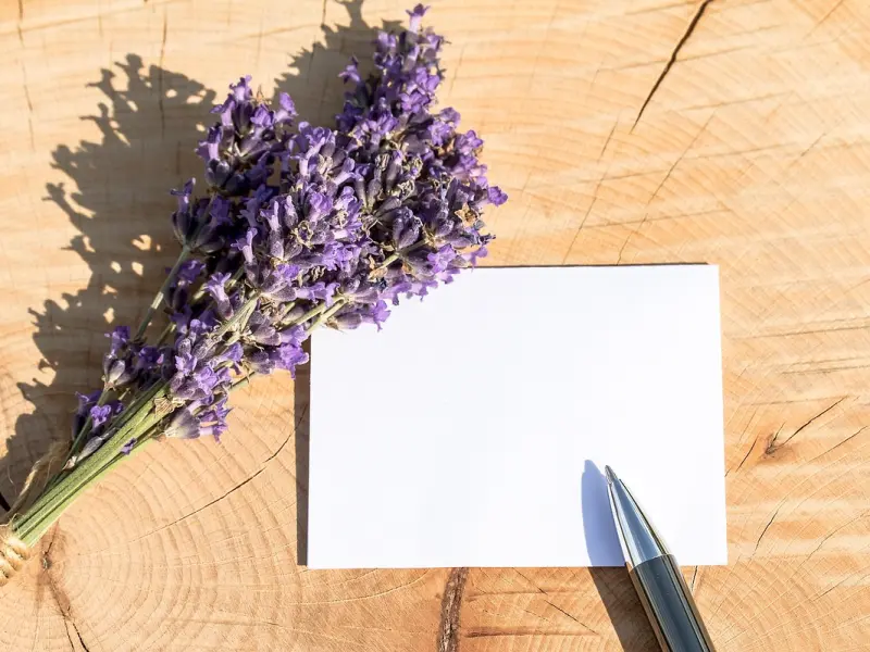 男人，越是在这4件事情上“迁就”你，说明他越是爱你！