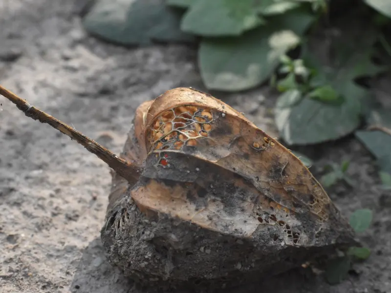 男人越如此“折腾”，女人反而越爱你入骨，不假