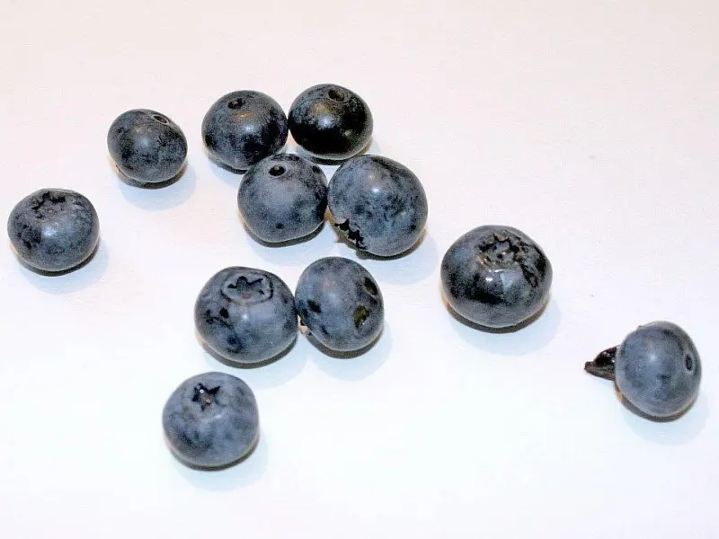 男人越爱你，越无法“伪装”这四个表现，别不信！