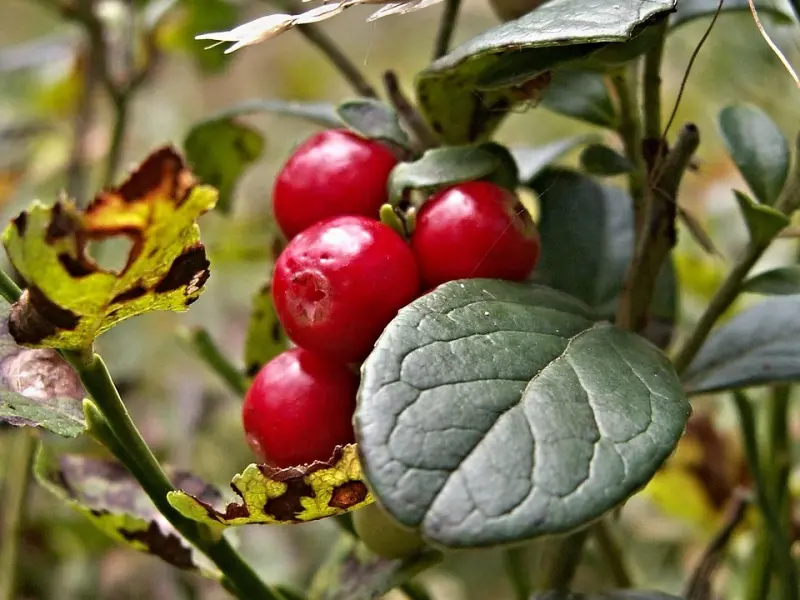 已婚女人越想“持久”发展，这3个“共性”越明显！